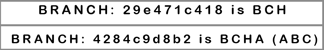 A Step-by-Step Guide to Splitting ABC Fork Tokens from Bitcoin Cash