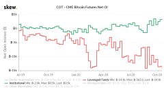 长时间和对冲基金的组织简略：比特币选项交易员